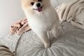 ママに起きて欲しい…の画像