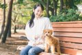 犬が『他人に興味を…の画像
