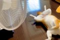 暑い日、扇風機の前…の画像