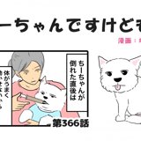 PostThumbnail