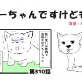 PostThumbnail