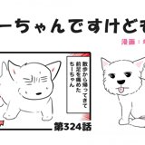 PostThumbnail