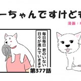 PostThumbnail