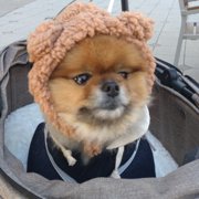 レン君画像
