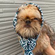 ムム画像