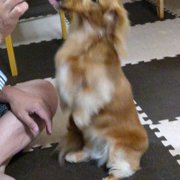 ナナ画像