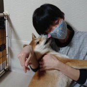 ふく画像