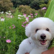 ふうた画像