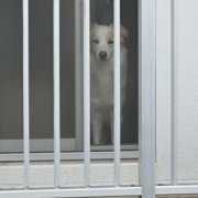 音画像