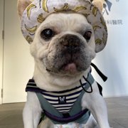 おいも画像