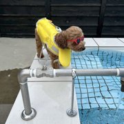 ポポちゃん画像