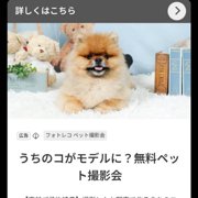 レン君画像