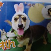 レオ画像