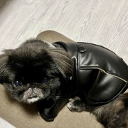 まめ画像