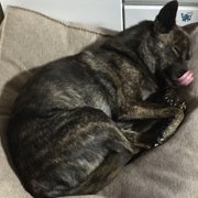 つぶら画像
