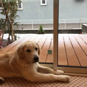 モカ画像