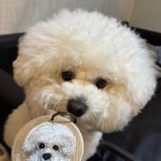 もち画像