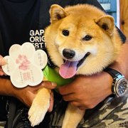 豆助画像