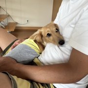 Luke🐕‍🦺画像