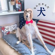 ジュエル 画像