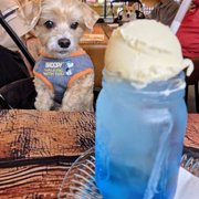 レオン画像