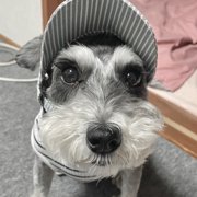 まゆ画像