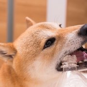 そら画像
