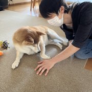 ふく画像