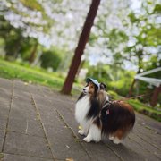 ロイ画像