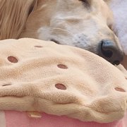 ジュエル 画像