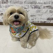ちゃお画像