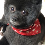 のあ画像