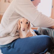 Luke🐕‍🦺画像