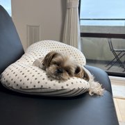 ひな画像