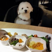 ふうた画像