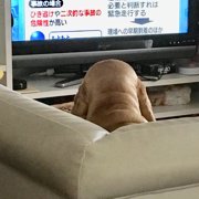  るぅく 画像