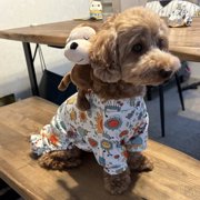 ポポ画像