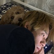 ポポ画像