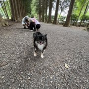 マヨ&ピノ画像