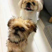 ムム画像