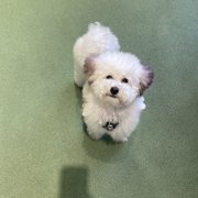 ビッツ画像