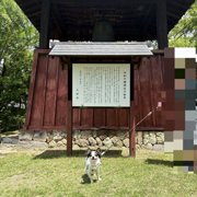 ピノ画像