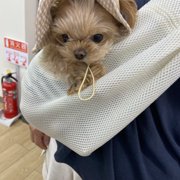 もなか画像