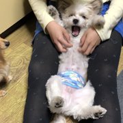 専務画像