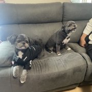 アリィーとめる画像