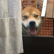 ハッピー画像