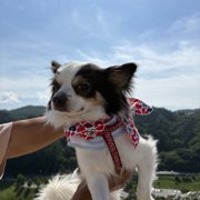 マヨ&ピノ画像