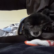 のあ画像