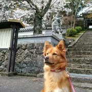 春画像