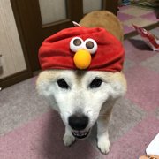 レン画像